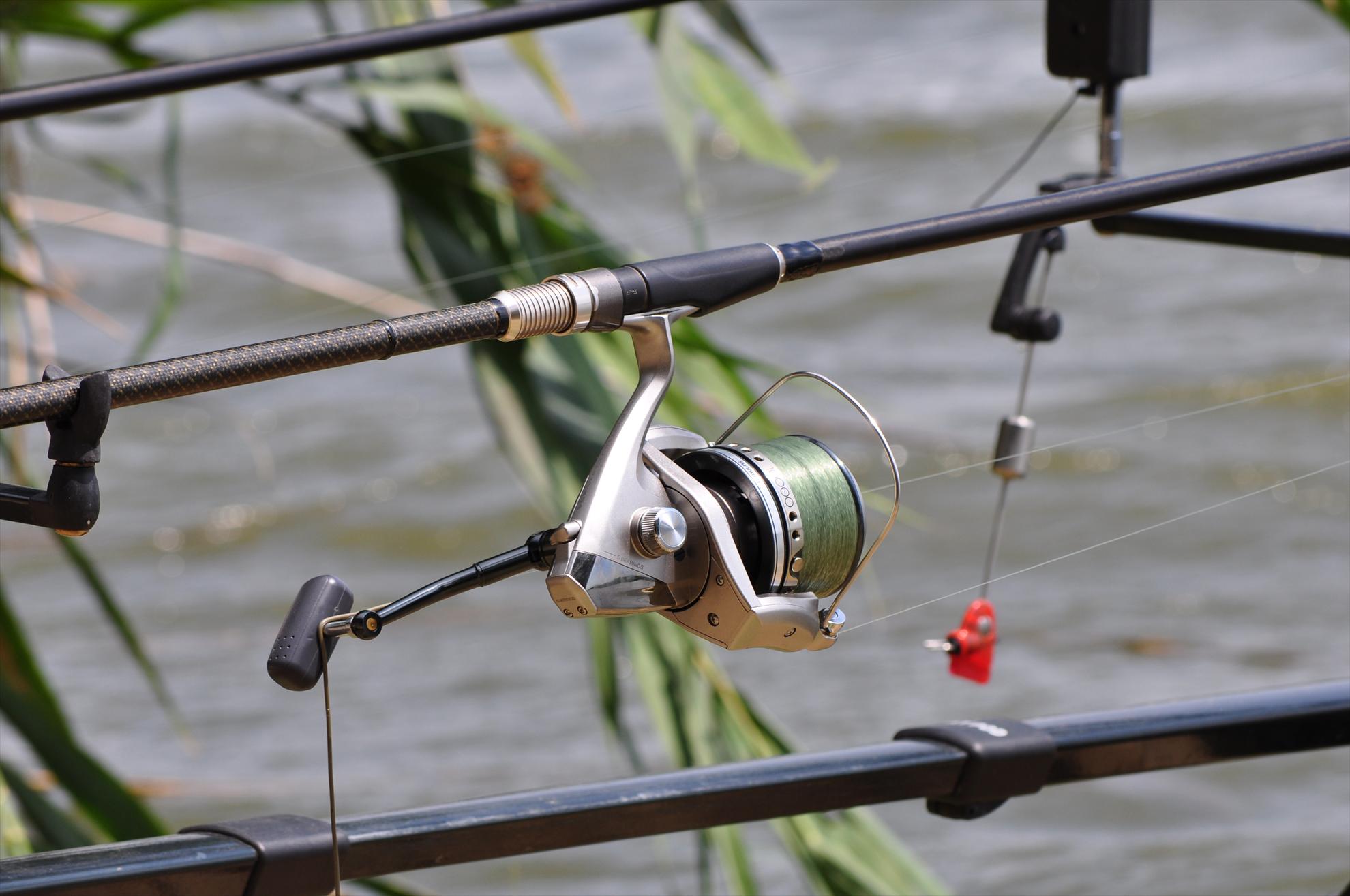 Tancabesti - dsc0092.JPG